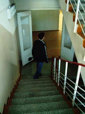 Стандартные школьные лестницы